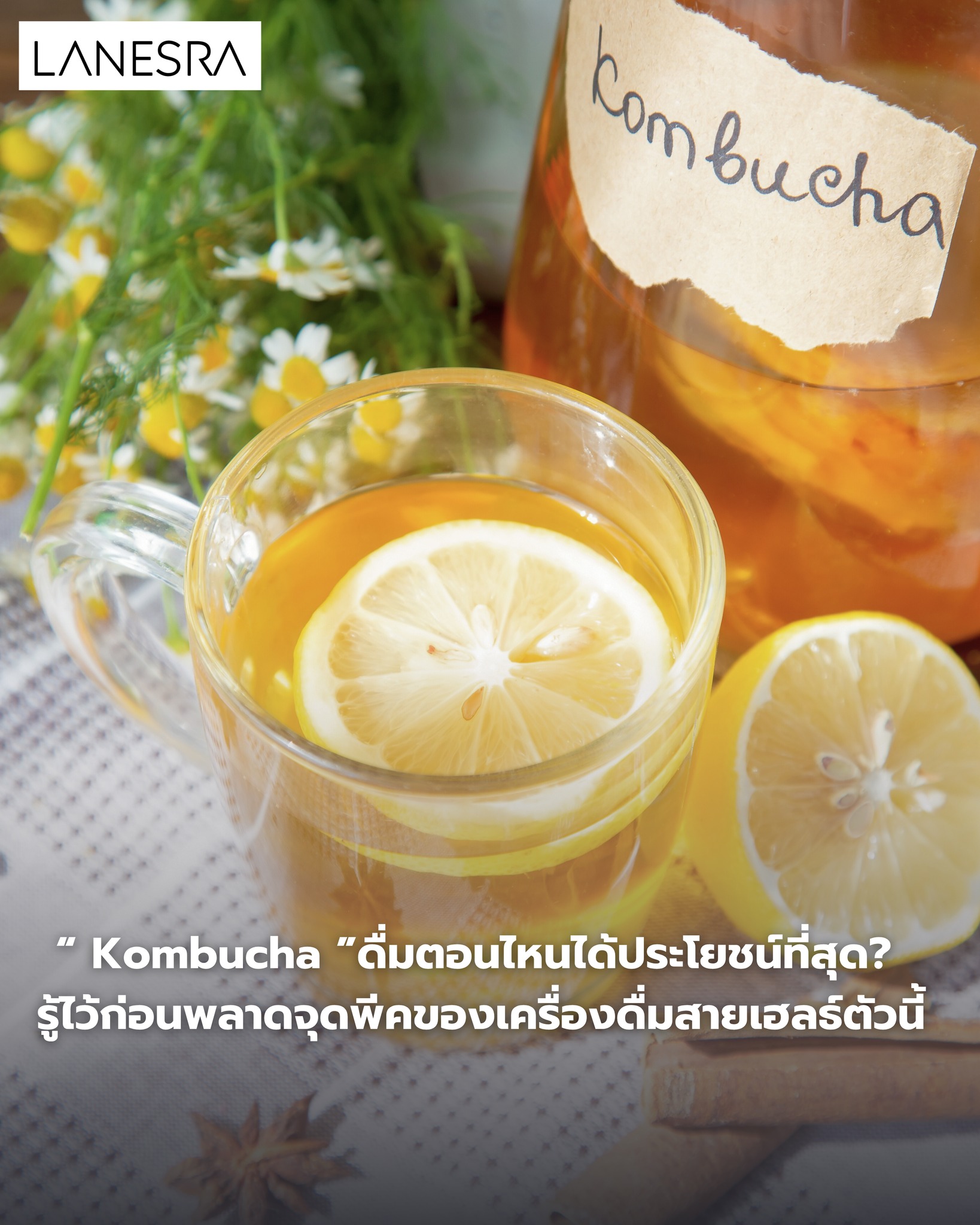 คอมบูชา” ดื่มตอนไหนได้ประโยชน์ที่สุด ? รู้ไว้ก่อนพลาดจุดพีคของเครื่องดื่มสายเฮลธ์ตัวนี้