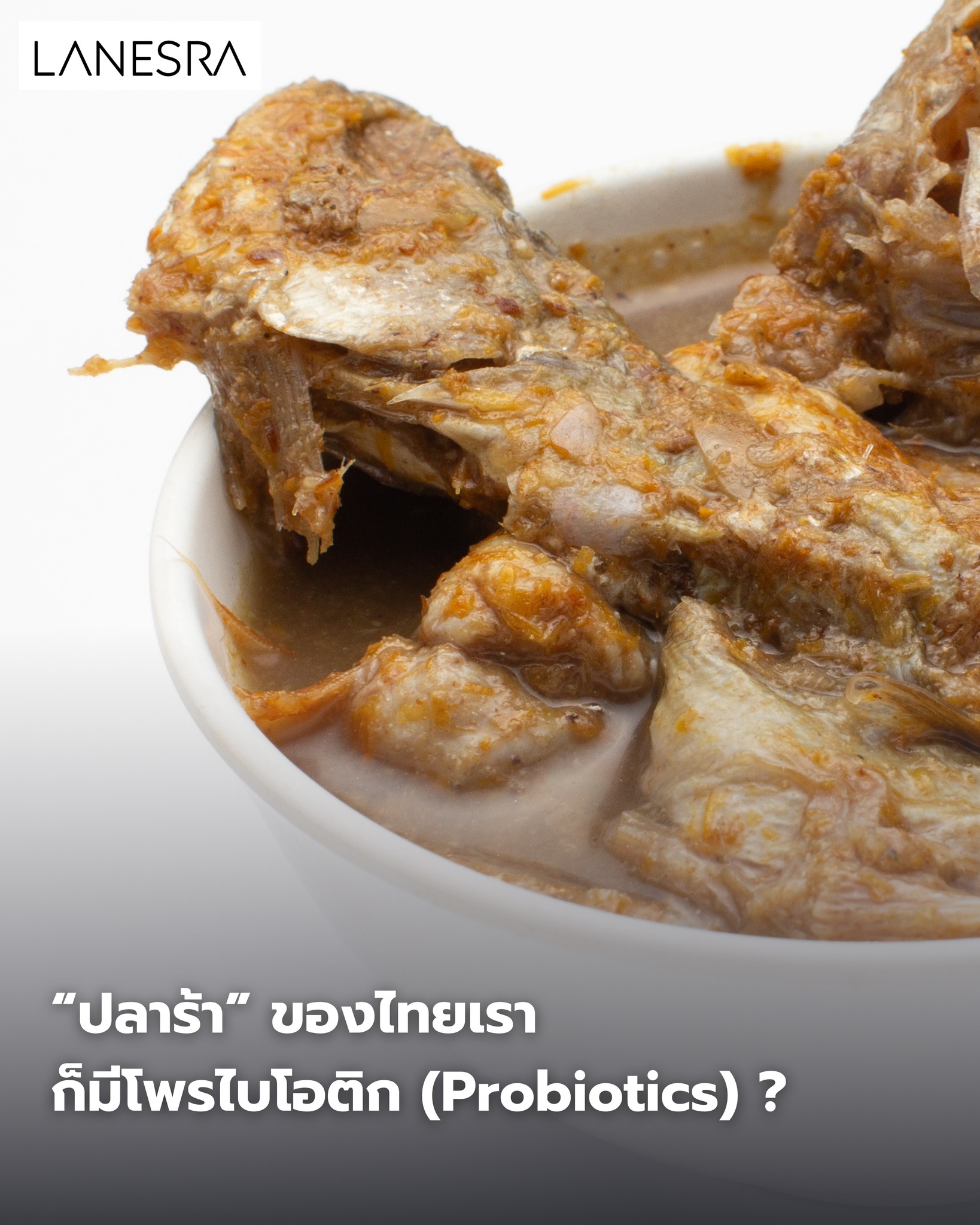 รู้หรือไม่ว่า… ปลาร้าอีสานของไทยก็มีโพรไบโอติกส์ ไม่แพ้โยเกิร์ต กิมจิ หรือคอมบูชา