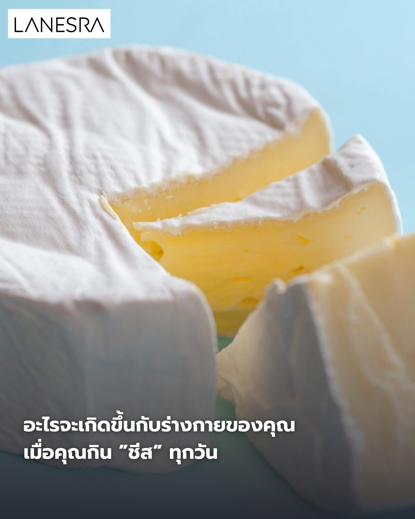 “กินชีสทุกวัน” อาจไม่ใช่ปัญหา… ถ้าคุณรู้ว่าต้องเลือกแบบไหน และกินอย่างไร