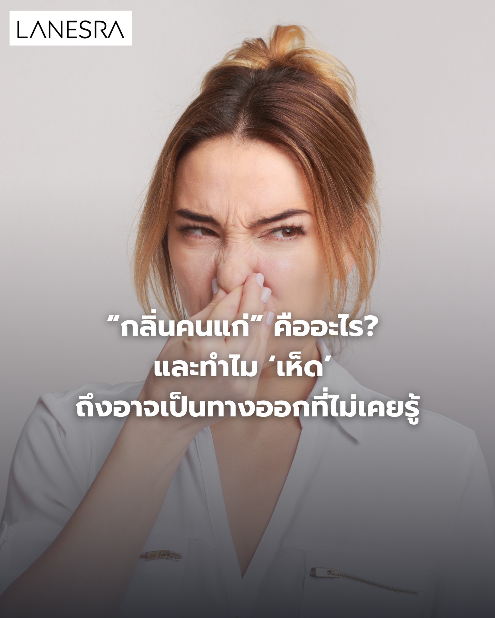 “กลิ่นคนแก่” คืออะไร? และทำไม ‘เห็ด’ ถึงอาจเป็นทางออกที่คุณไม่เคยรู้