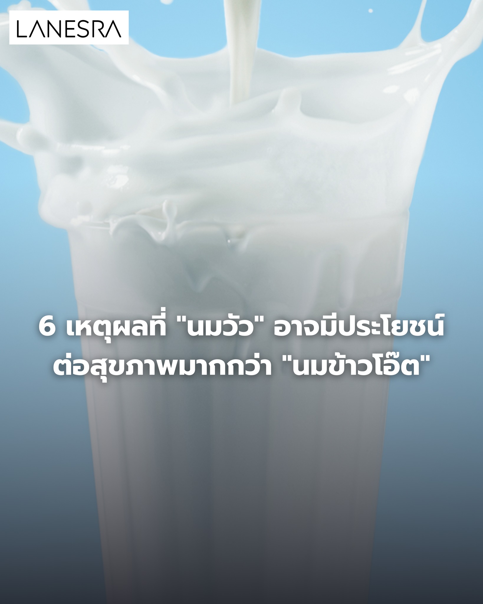 6 เหตุผลที่ “นมวัว” อาจมีประโยชน์ต่อสุขภาพมากกว่า “นมข้าวโอ๊ต”