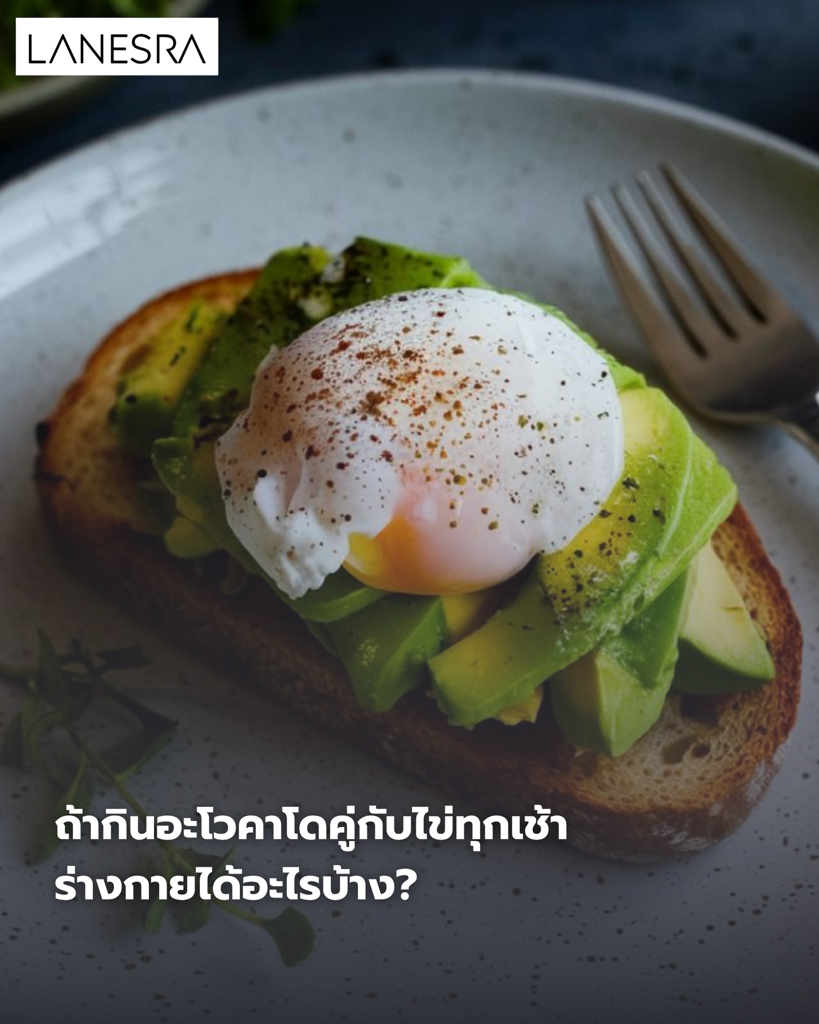 ถ้ากินอะโวคาโดคู่กับไข่ทุกเช้า ร่างกายได้อะไรบ้าง?