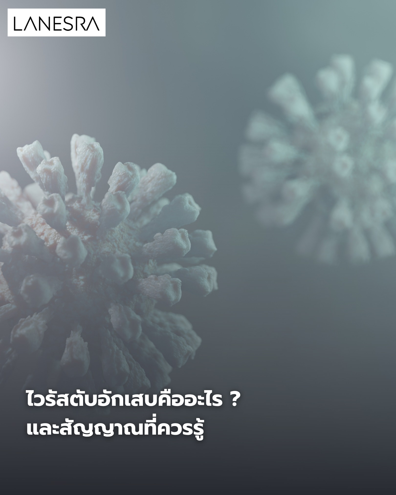 ไวรัสตับอักเสบคืออะไร สัญญาณที่ควรรู้ ?