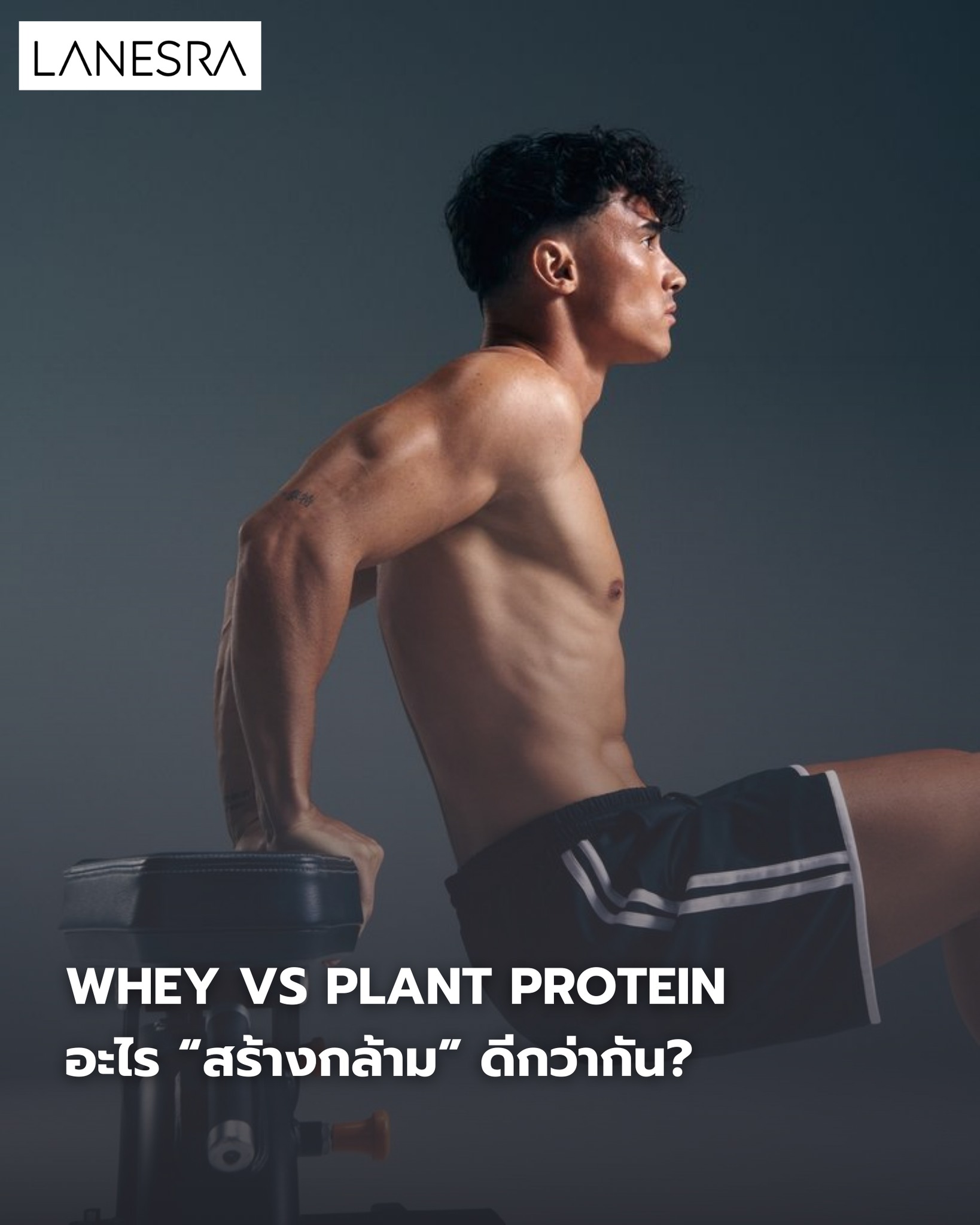 Whey vs Plant Protein: อะไร “สร้างกล้าม” ดีกว่ากัน?