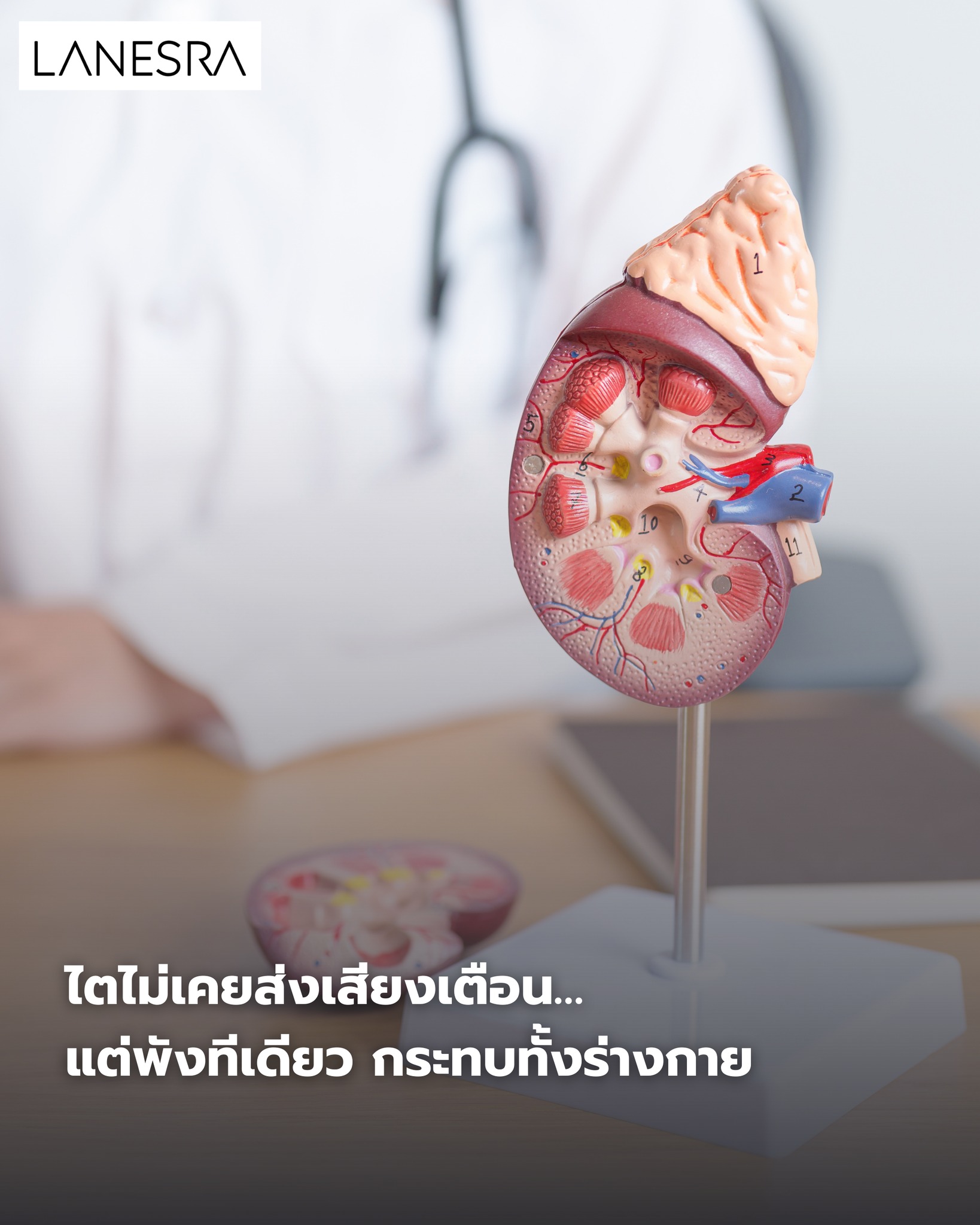 ไตไม่เคยส่งเสียงเตือน… แต่พังทีเดียว กระทบทั้งร่างกาย