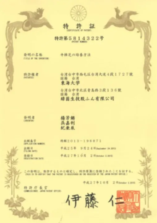 certificate antromax 13